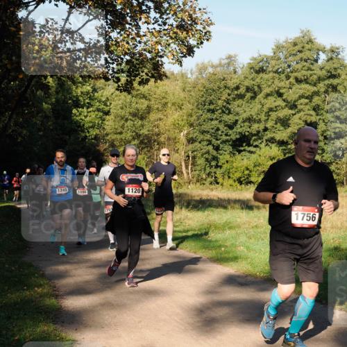 28.09.2025 - 33. Volkslauf durch das schöne Alstertal Fabian Wolf http://msf.ph/oto/8978395 28.09.2025 10:06:21 Laufen 1155, 1745, 1096, 10, 1701, 1120, 1698, 1756 meine-sportfotos.de