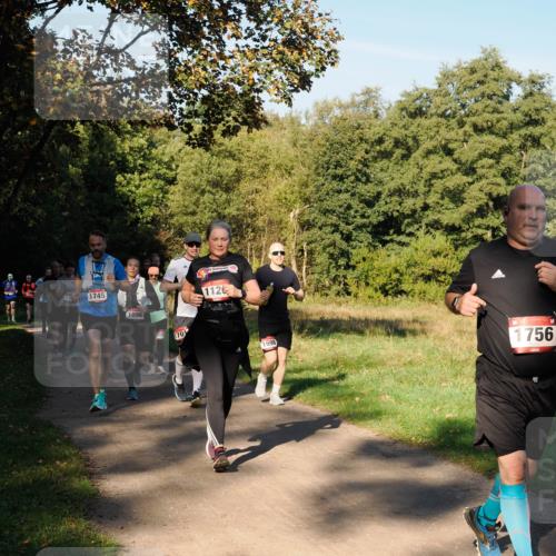 28.09.2025 - 33. Volkslauf durch das schöne Alstertal Fabian Wolf http://msf.ph/oto/8978396 28.09.2025 10:06:22 Laufen 115, 1745, 1096, 02, 1701, 1126, 1698, 1756 meine-sportfotos.de