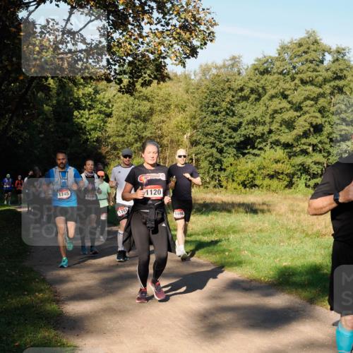 28.09.2025 - 33. Volkslauf durch das schöne Alstertal Fabian Wolf http://msf.ph/oto/8978397 28.09.2025 10:06:22 Laufen 1745, 1096, 102, 1701, 1120, 1698 meine-sportfotos.de
