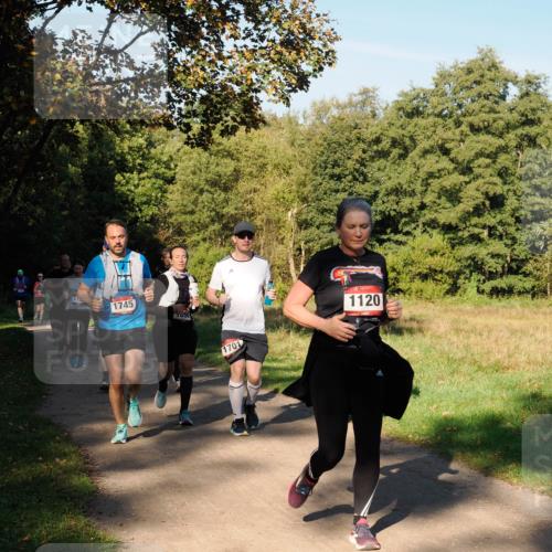 28.09.2025 - 33. Volkslauf durch das schöne Alstertal Fabian Wolf http://msf.ph/oto/8978400 28.09.2025 10:06:23 Laufen 115, 1745, 096, 1701, 1120 meine-sportfotos.de