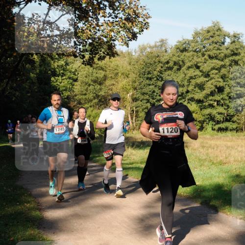 28.09.2025 - 33. Volkslauf durch das schöne Alstertal Fabian Wolf http://msf.ph/oto/8978401 28.09.2025 10:06:23 Laufen 1155, 1745, 1096, 1701, 1120 meine-sportfotos.de