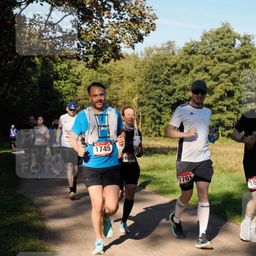 28.09.2025 - 33. Volkslauf durch das schöne Alstertal Fabian Wolf http://msf.ph/oto/8978406 28.09.2025 10:06:24 Laufen 1155, 1761, 16, 1745, 1096, 1701, 16 meine-sportfotos.de
