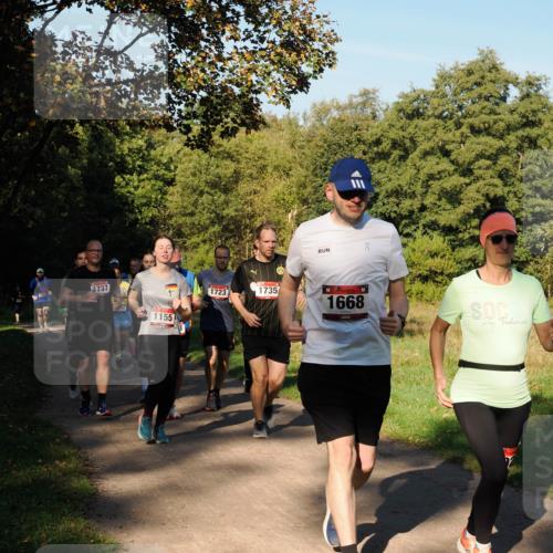 28.09.2025 - 33. Volkslauf durch das schöne Alstertal Fabian Wolf http://msf.ph/oto/8978414 28.09.2025 10:06:27 Laufen 737, 1155, 1723, 1735, 1668 meine-sportfotos.de