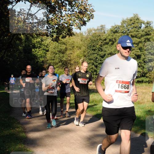 28.09.2025 - 33. Volkslauf durch das schöne Alstertal Fabian Wolf http://msf.ph/oto/8978416 28.09.2025 10:06:27 Laufen 1737, 17, 067, 155, 723, 1735, 1668 meine-sportfotos.de