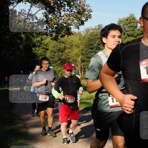 28.09.2025 - 33. Volkslauf durch das schöne Alstertal Fabian Wolf http://msf.ph/oto/8978422 28.09.2025 10:06:31 Laufen 1738, 1746, 1777, 1 meine-sportfotos.de