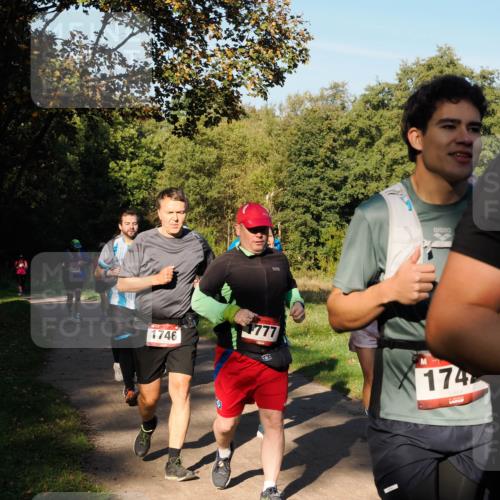28.09.2025 - 33. Volkslauf durch das schöne Alstertal Fabian Wolf http://msf.ph/oto/8978423 28.09.2025 10:06:31 Laufen 738, 1746, 1777, 174 meine-sportfotos.de