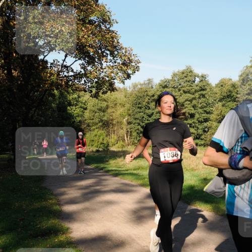 28.09.2025 - 33. Volkslauf durch das schöne Alstertal Fabian Wolf http://msf.ph/oto/8978432 28.09.2025 10:06:35 Laufen 1738, 1098, 1086 meine-sportfotos.de