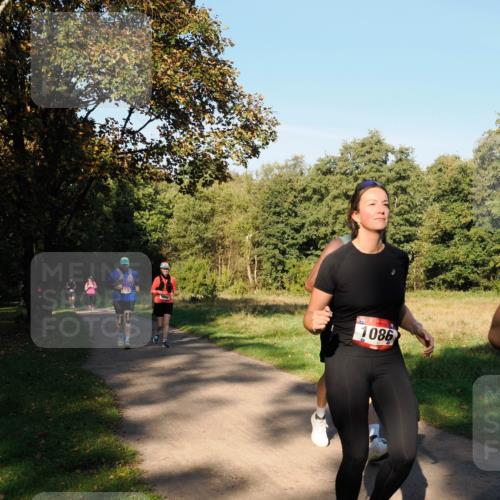 28.09.2025 - 33. Volkslauf durch das schöne Alstertal Fabian Wolf http://msf.ph/oto/8978433 28.09.2025 10:06:35 Laufen 1738, 1086 meine-sportfotos.de