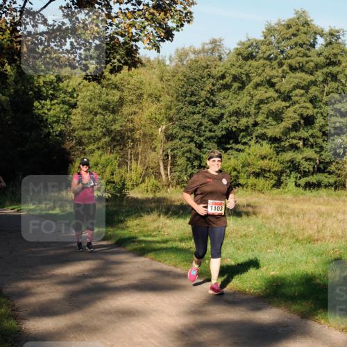 28.09.2025 - 33. Volkslauf durch das schöne Alstertal Fabian Wolf http://msf.ph/oto/8978440 28.09.2025 10:06:45 Laufen 1103 meine-sportfotos.de