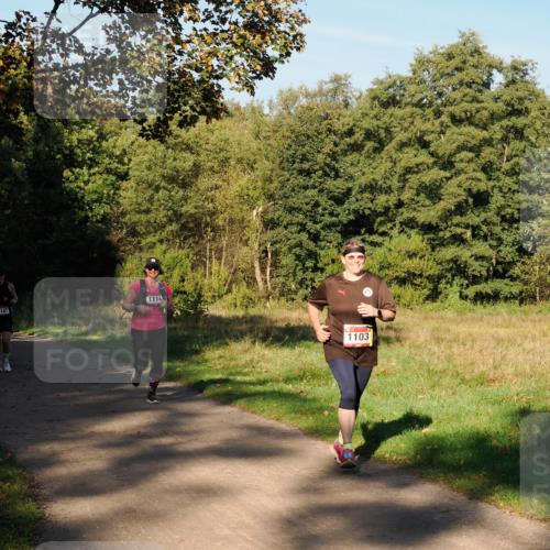 28.09.2025 - 33. Volkslauf durch das schöne Alstertal Fabian Wolf http://msf.ph/oto/8978441 28.09.2025 10:06:45 Laufen 1107, 1114, 1103 meine-sportfotos.de