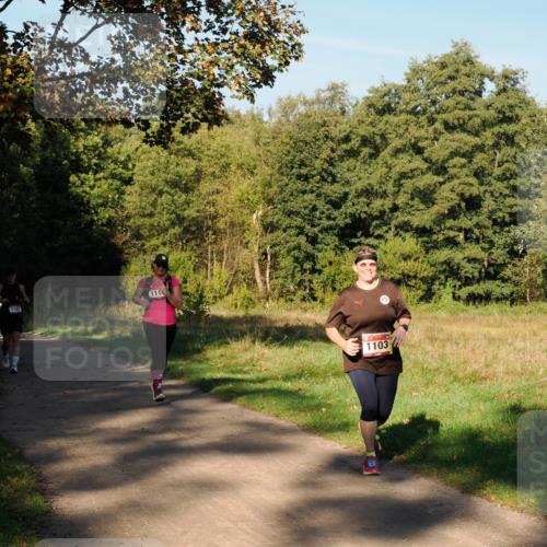 28.09.2025 - 33. Volkslauf durch das schöne Alstertal Fabian Wolf http://msf.ph/oto/8978442 28.09.2025 10:06:45 Laufen 1107, 111, 1103 meine-sportfotos.de