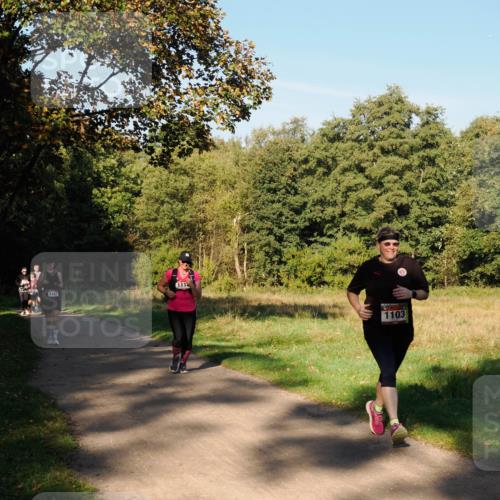 28.09.2025 - 33. Volkslauf durch das schöne Alstertal Fabian Wolf http://msf.ph/oto/8978445 28.09.2025 10:06:46 Laufen 1107, 1114, 1103 meine-sportfotos.de