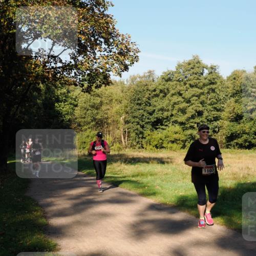 28.09.2025 - 33. Volkslauf durch das schöne Alstertal Fabian Wolf http://msf.ph/oto/8978446 28.09.2025 10:06:46 Laufen 1107, 1114, 1103 meine-sportfotos.de