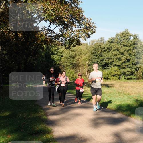 28.09.2025 - 33. Volkslauf durch das schöne Alstertal Fabian Wolf http://msf.ph/oto/8978456 28.09.2025 10:06:58 Laufen 1754, 1104, 1111, 1753 meine-sportfotos.de
