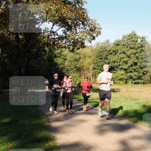 28.09.2025 - 33. Volkslauf durch das schöne Alstertal Fabian Wolf http://msf.ph/oto/8978457 28.09.2025 10:06:58 Laufen 1754, 1104, 1111, 753 meine-sportfotos.de