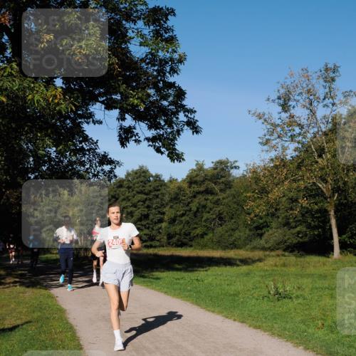 28.09.2025 - 33. Volkslauf durch das schöne Alstertal Fabian Wolf http://msf.ph/oto/8978547 28.09.2025 10:23:52 Laufen 2405 meine-sportfotos.de