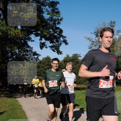 28.09.2025 - 33. Volkslauf durch das schöne Alstertal Fabian Wolf http://msf.ph/oto/8978837 28.09.2025 10:25:01 Laufen 1, 1, 2502, 2424, 2555 meine-sportfotos.de