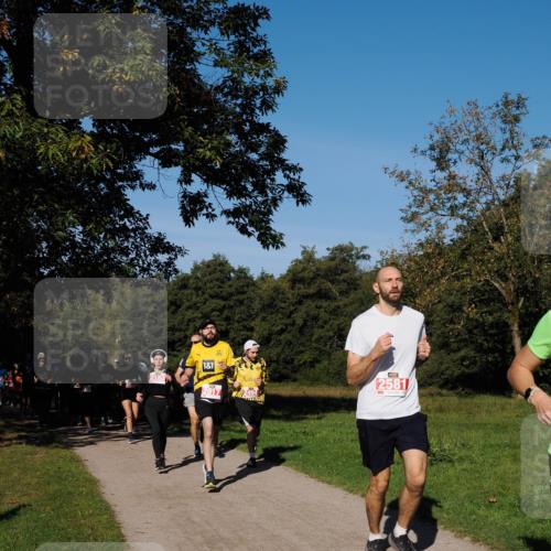 28.09.2025 - 33. Volkslauf durch das schöne Alstertal Fabian Wolf http://msf.ph/oto/8978847 28.09.2025 10:25:03 Laufen 1, 1, 2017, 494, 2581 meine-sportfotos.de