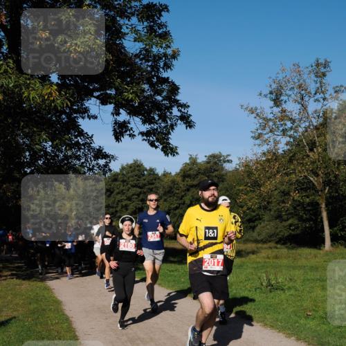 28.09.2025 - 33. Volkslauf durch das schöne Alstertal Fabian Wolf http://msf.ph/oto/8978860 28.09.2025 10:25:04 Laufen 2180, 2347, 1, 1, 2017 meine-sportfotos.de