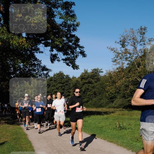 28.09.2025 - 33. Volkslauf durch das schöne Alstertal Fabian Wolf http://msf.ph/oto/8978867 28.09.2025 10:25:06 Laufen 2593, 2315, 2279, 2997 meine-sportfotos.de