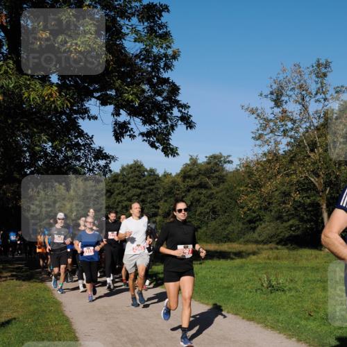 28.09.2025 - 33. Volkslauf durch das schöne Alstertal Fabian Wolf http://msf.ph/oto/8978868 28.09.2025 10:25:06 Laufen 2593, 2315, 2279, 2565, 297 meine-sportfotos.de