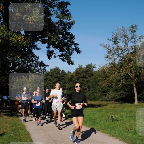 28.09.2025 - 33. Volkslauf durch das schöne Alstertal Fabian Wolf http://msf.ph/oto/8978869 28.09.2025 10:25:06 Laufen 2593, 2565, 2997 meine-sportfotos.de