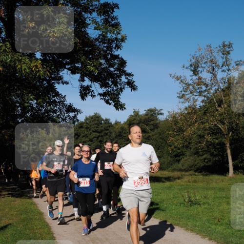 28.09.2025 - 33. Volkslauf durch das schöne Alstertal Fabian Wolf http://msf.ph/oto/8978877 28.09.2025 10:25:07 Laufen 2593, 315, 2279, 2565 meine-sportfotos.de