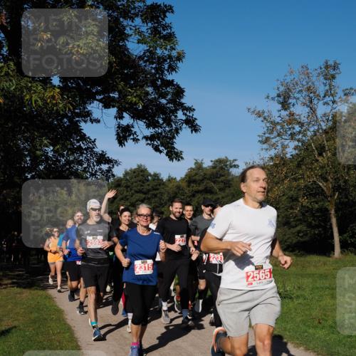 28.09.2025 - 33. Volkslauf durch das schöne Alstertal Fabian Wolf http://msf.ph/oto/8978880 28.09.2025 10:25:08 Laufen 2593, 2315, 2565 meine-sportfotos.de