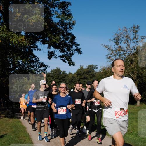 28.09.2025 - 33. Volkslauf durch das schöne Alstertal Fabian Wolf http://msf.ph/oto/8978882 28.09.2025 10:25:08 Laufen 215, 593, 2315, 2279, 231, 2565 meine-sportfotos.de