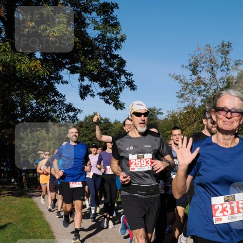 28.09.2025 - 33. Volkslauf durch das schöne Alstertal Fabian Wolf http://msf.ph/oto/8978893 28.09.2025 10:25:09 Laufen 2215, 379, 2593, 80, 2315 meine-sportfotos.de