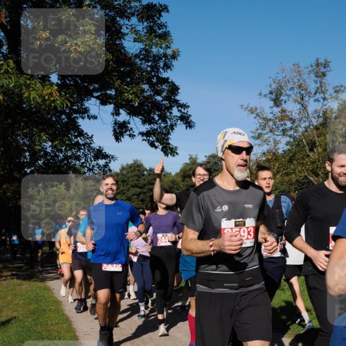 28.09.2025 - 33. Volkslauf durch das schöne Alstertal Fabian Wolf http://msf.ph/oto/8978895 28.09.2025 10:25:09 Laufen 202, 22, 244, 25, 93 meine-sportfotos.de