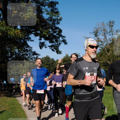 28.09.2025 - 33. Volkslauf durch das schöne Alstertal Fabian Wolf http://msf.ph/oto/8978896 28.09.2025 10:25:09 Laufen 2215, 79, 2447, 593 meine-sportfotos.de