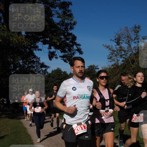 28.09.2025 - 33. Volkslauf durch das schöne Alstertal Fabian Wolf http://msf.ph/oto/8978978 28.09.2025 10:25:22 Laufen 2609, 2612, 209, 2085 meine-sportfotos.de