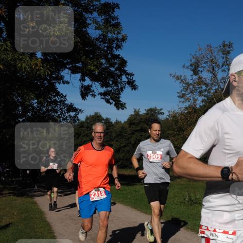 28.09.2025 - 33. Volkslauf durch das schöne Alstertal Fabian Wolf http://msf.ph/oto/8978984 28.09.2025 10:25:25 Laufen 2318, 3, 2509 meine-sportfotos.de