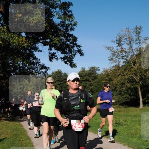 28.09.2025 - 33. Volkslauf durch das schöne Alstertal Fabian Wolf http://msf.ph/oto/8979215 28.09.2025 10:26:06 Laufen 2641 meine-sportfotos.de