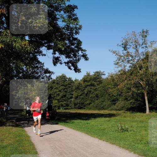 28.09.2025 - 33. Volkslauf durch das schöne Alstertal Fabian Wolf http://msf.ph/oto/8979627 28.09.2025 10:33:22 Laufen  meine-sportfotos.de