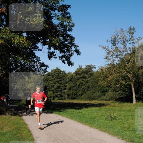 28.09.2025 - 33. Volkslauf durch das schöne Alstertal Fabian Wolf http://msf.ph/oto/8979631 28.09.2025 10:33:23 Laufen  meine-sportfotos.de