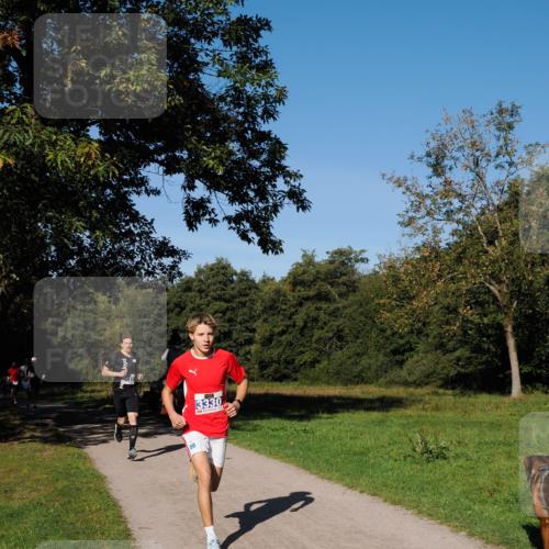 28.09.2025 - 33. Volkslauf durch das schöne Alstertal Fabian Wolf http://msf.ph/oto/8979634 28.09.2025 10:33:23 Laufen 3330 meine-sportfotos.de