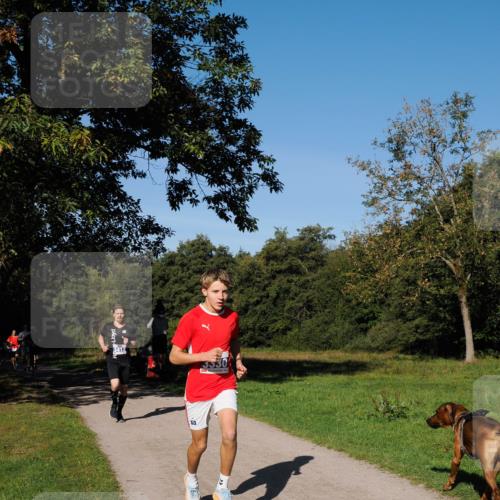 28.09.2025 - 33. Volkslauf durch das schöne Alstertal Fabian Wolf http://msf.ph/oto/8979636 28.09.2025 10:33:24 Laufen 13530 meine-sportfotos.de