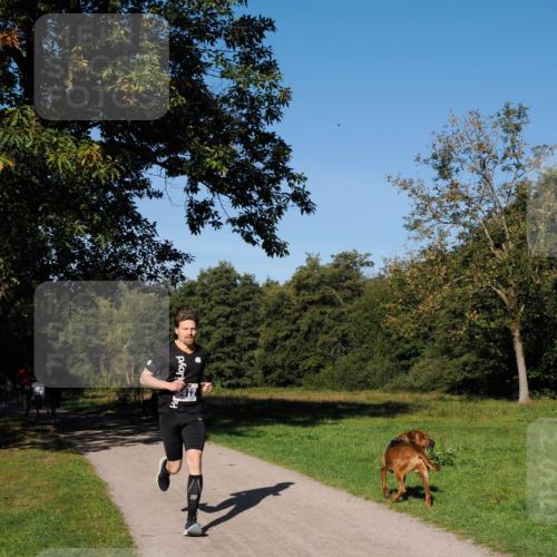 28.09.2025 - 33. Volkslauf durch das schöne Alstertal Fabian Wolf http://msf.ph/oto/8979642 28.09.2025 10:33:25 Laufen  meine-sportfotos.de