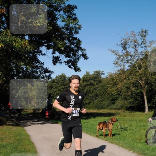 28.09.2025 - 33. Volkslauf durch das schöne Alstertal Fabian Wolf http://msf.ph/oto/8979649 28.09.2025 10:33:26 Laufen  meine-sportfotos.de
