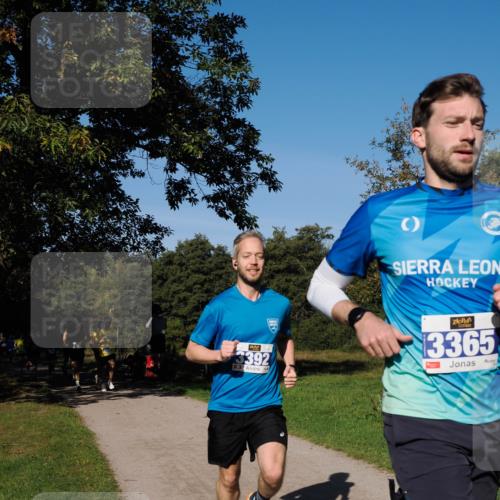 28.09.2025 - 33. Volkslauf durch das schöne Alstertal Fabian Wolf http://msf.ph/oto/8979671 28.09.2025 10:33:33 Laufen 3392, 3365 meine-sportfotos.de