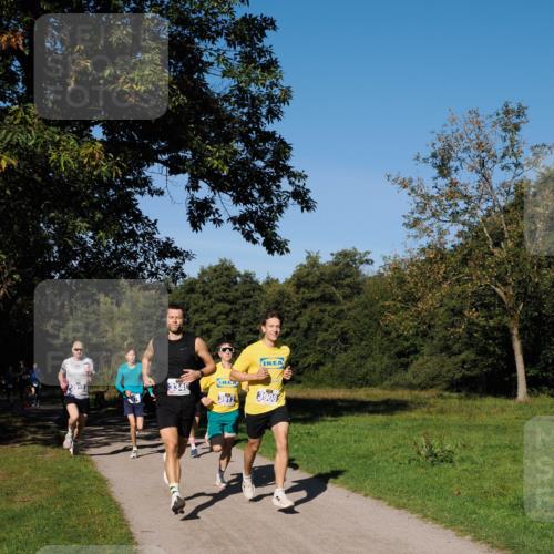 28.09.2025 - 33. Volkslauf durch das schöne Alstertal Fabian Wolf http://msf.ph/oto/8979681 28.09.2025 10:33:36 Laufen 3910, 3908 meine-sportfotos.de