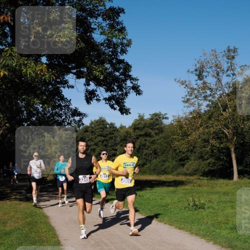 28.09.2025 - 33. Volkslauf durch das schöne Alstertal Fabian Wolf http://msf.ph/oto/8979682 28.09.2025 10:33:36 Laufen 3910, 3912, 3908 meine-sportfotos.de