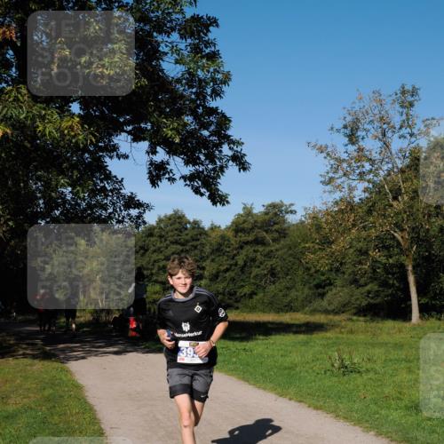 28.09.2025 - 33. Volkslauf durch das schöne Alstertal Fabian Wolf http://msf.ph/oto/8979724 28.09.2025 10:33:50 Laufen 393 meine-sportfotos.de