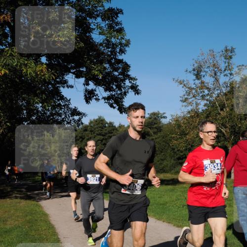 28.09.2025 - 33. Volkslauf durch das schöne Alstertal Fabian Wolf http://msf.ph/oto/8979772 28.09.2025 10:34:06 Laufen 3921, 3406, 3934 meine-sportfotos.de
