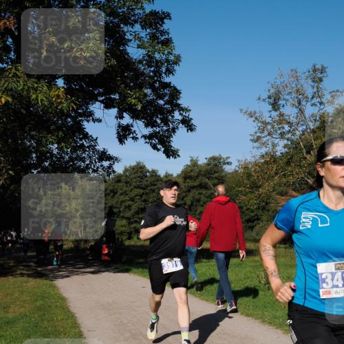 28.09.2025 - 33. Volkslauf durch das schöne Alstertal Fabian Wolf http://msf.ph/oto/8979789 28.09.2025 10:34:10 Laufen 3919, 34 meine-sportfotos.de