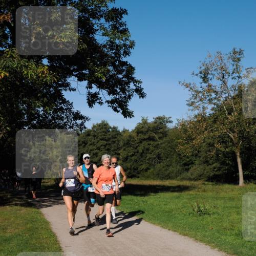 28.09.2025 - 33. Volkslauf durch das schöne Alstertal Fabian Wolf http://msf.ph/oto/8979855 28.09.2025 10:34:27 Laufen 3367, 3024 meine-sportfotos.de