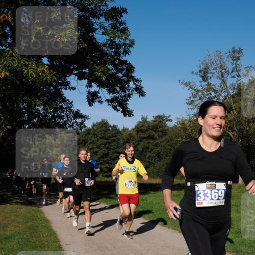 28.09.2025 - 33. Volkslauf durch das schöne Alstertal Fabian Wolf http://msf.ph/oto/8979898 28.09.2025 10:34:36 Laufen 3308, 3909, 3369 meine-sportfotos.de