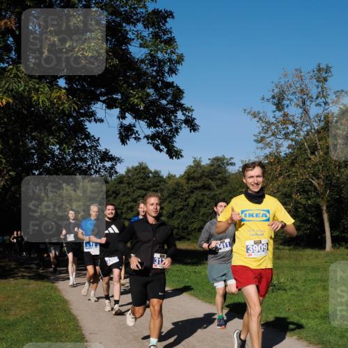 28.09.2025 - 33. Volkslauf durch das schöne Alstertal Fabian Wolf http://msf.ph/oto/8979904 28.09.2025 10:34:37 Laufen 3309, 3308, 317, 3411, 3909 meine-sportfotos.de